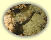 IMG_2007_05_28 23_20_54 * 2272 x 1704 * (616KB)